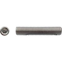 200 Vis Sans Tête 6 Pans Creux à Bout Cuvette STHC 4 x 4 mm - DIN 916 - Inox A2 - D-Work