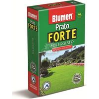 PRATO FORTE SOLEGGIATO 1KG