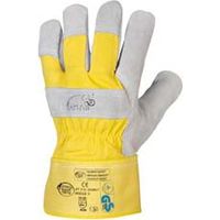 Guanti Mammut / Gr.9 In Pelle (A 12)