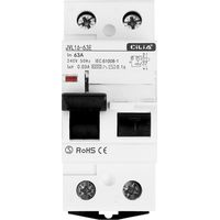 Interrupteur Différentiel CILIA 1P+N 30mA Type AC Protection des Personnes, 2 Modules Pour Tableau Électrique 63A