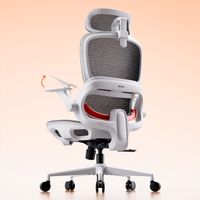 SIHOO B100 LITE Chaise de bureau ergonomique avec support lombaire adaptatif, dossier en mesh respirant, accoudoirs relevables, charge maximale de 136 kg, Gris
