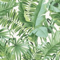 Tropical Leaf Wallpaper Palm Tree White Green A Street Prints Paste The Wall