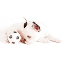 Balle couinante Trixie pour chien 6 cm