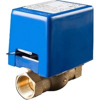 2-Wege-Zonenventil mit Hilfsmikroschalter 1 Gas F.