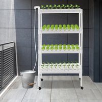 4-stufiges System für den Anbau ohne Erde, 12 Röhren und 108 Löcher, mit 12 Pflanzröhren, 4-stufige Hydrokulturanlage, Pflanzsystem mit Körben, Kufen und Rollen.