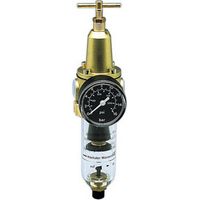 Filtro Regolatore, Filo Conduttore: G 1/4 Portata A 6 Bar 50 Mc / H, Larghezza. : Dn 6, Altezza: 230 Millimetri