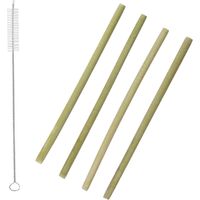 Lot de 4 Pailles & Goupillon "Ecolo" 22cm Naturel