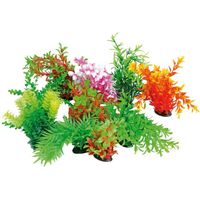 Tropical Plant 22-25cm AMTRA