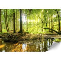 Papel pintado no tejido estándar - 100 x 70 cm - estilo ecléctico - naturaleza Papel pintado no tejido estándar - 250 x 175 cm - estilo ecléctico - naturaleza