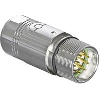 Intercontec AKUA012MR04410200C00 D11625