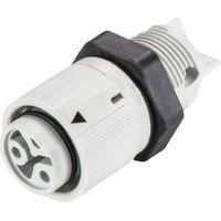 Wieland Electric 46.031.5054.0 Rundstecker Buchse, Einbau Gesamtpolzahl: 2 Serie (Rundsteckverbinder