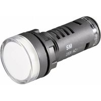 Voyant de signalisation LED Barthelme 58602413 vert 24 V/DC, 24 V/AC 1 pc(s)