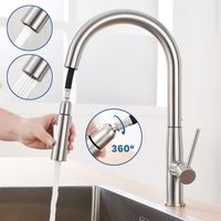 Auralum Rubinetto Cucina Estraibile in acciaio inox, Rubinetto da Cucina con Doccetta Estraibile fino a 45cm con aeratore staccabile, Girevole a 360° Miscelatore monocomando per lavello