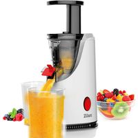 Presse agrumes Zilan 200 W acier inoxydable 600 ml
