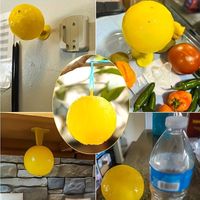 Fruit fly trap, an effective tool for eliminating small flying insects, ideal for indoor use and in kitchens. It also features sticky balls to attract fruit flies.