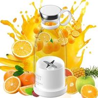 Mini blender - Blender portable - Appareil à smoothies - Extracteur de jus - Mixeur à fruits