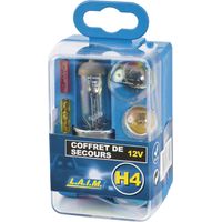 Notlicht H4