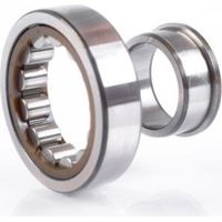 Zylinderrollenlager NJ2309 -E-XL-TVP2 ID 45mm AD 100mm Breite36mm FAG
