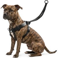 Harnais Easy Walker promenades confortables et sans traction M