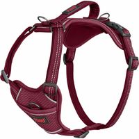 Harnais Anatomy Halti : Magenta - Taille M