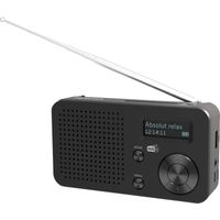 Telestar TELESTAR TOP 100 Schwarz Radio sans fil DAB+, FM Bluetooth, USB fonction de charge de la batterie, rechargeabl