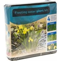 Kit panier flottant carré avec 3 plantes aquatiques – 1 iris jaune, 1 pontederia, 1 acorus – Dimensions panier 19x19x10cm – Pour bassin et étang – Moerings