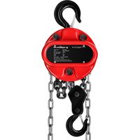 Paranco Manuale A Catena Acciaio 3 Tonnellate Catena G80 Da 3 M Con Maglia 8 Mm