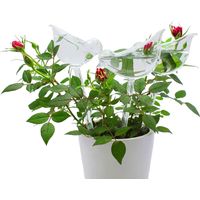 Lot de 3 globes d'arrosage en verre avec pointes d'auto-arrosage en forme d'oiseau pour plantes, intérieur et extérieur