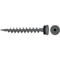 Apolo Mea® Isola Animale Piastra Vite Ips 80 Grigio Contenuto: 50 Pezzi