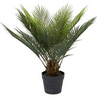 Palmier Cycas artificiel en pot, H 60 cm, D 60 cm