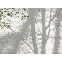 Papier peint intissé Palmiers & Feuilles Vert, Blanc - 3,71 x 2,8 m