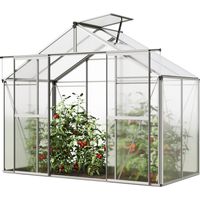GFP Invernadero Orchidee 2 marco de aluminio 256 x 131 cm placas de policarbonato