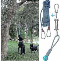 Set di giocattoli per cani sospesi a molla per l'esercizio all'aperto, giocattolo per la dentizione del cane in corda di cotone