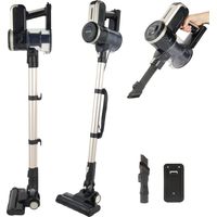 Petra PF01625VDE Aspirapolvere Turbo-Contenitore da 600 ml, Portatile, motorizzata a LED, Spazzola/Bocchetta 2 in 1, Ricambio Filtro HEPA, 600 W, vano per Cavo di Alimentazione da 6 m, Black