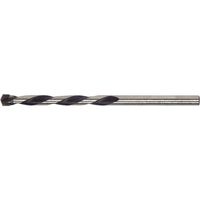 Broca pared Ratio - 12 mm.