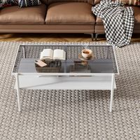 Table basse en verre trempé, table basse rectangulaire, pieds en métal, table de salon moderne, coloris gris et blanc.