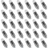 30PCS LED Ballons Lampes Lumineuses Blanc Chaud pour Lanterne Papier Décoration Mariage, Fête