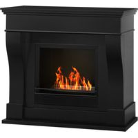Kamin Divina Fire Washington schwarz 3400 W 111 cm