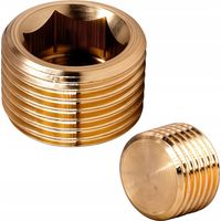 Bouchon Laiton 3/8" – Filetage Extérieur Laiton Résistant à la Corrosion Pour Vanne Bypass et Installations Eau sous Pression