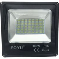 Faro led 100w luce fredda faretto led slim esterno casa giardino proiettore
