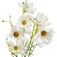 Fleur artificielle Phoebe Coreopsis H88 cm - Atmosphera créateur d'intérieur