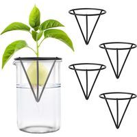 4pcs Démarreurs de Graines d'Avocat, Kits de Culture d'Avocatiers Triangulaires en Métal Support de Graines d'Avocat pour La Germination pour La Décoration de Table de Bureau à Domicile