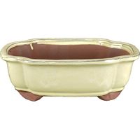 Vaso per bonsai ovale (forma mokko) in gres smaltato bianco 28x21x6,5 cm - GA8