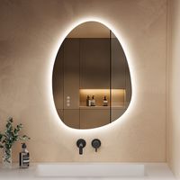 S'AFIELINA Badspiegel mit Beleuchtung 60×45cm LED Touch Schalter Wandspiegel 3 Lichtfarben und Dimmbar, Anti-Beschlag- und Memory-Funktion