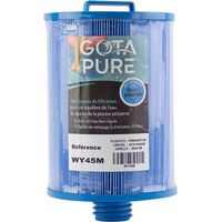 Filtre spa Anti-bactérien WY45M Gota Pure / PWW50-M Pleatco / 6CH-940AM Unicel Haute qualité de filtration