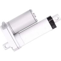 Drive-System Europe MSW Actuador eléctrico 24 V Compacto 150 N