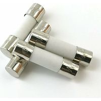 10x Time delay fuse (T) ceramic 10A / 250VAC 5x20mm