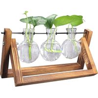 Support décoratif en bois avec vase en verre hydroponique, vase suspendu, vase à fleurs, vase de table, vase décoratif
