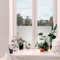 Adhésif décoratif pour vitre Basic opaque uni 200 x 67,5cm Blanc