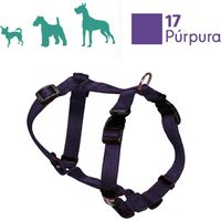 Harnais pour chien en nylon basique 2 cm de large et taille 20